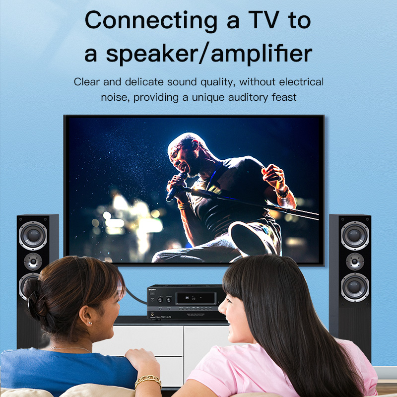 CHOSEAL สาย RCA สายสัญญาณเสียง - Home Cinema Subwoofer บทวิจารณ์และราคา